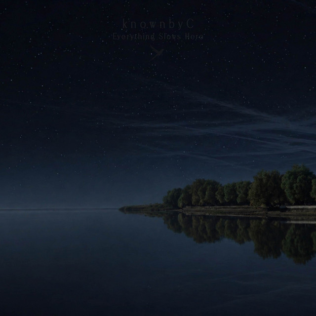 Everything Slows Here cover art