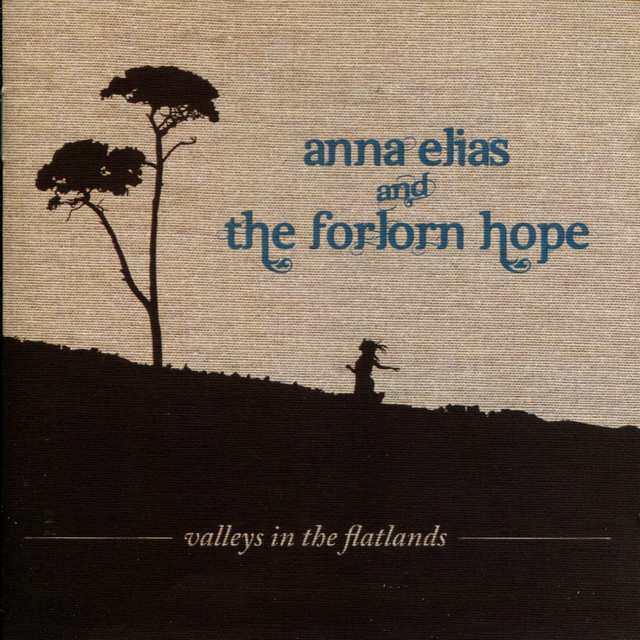 Valleys in the Flatlands cover art