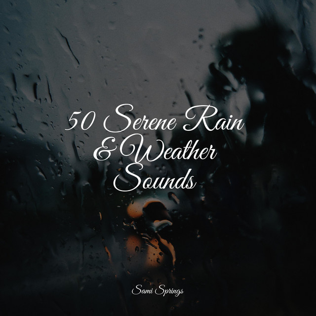 50 Serene Rain & Weather Sounds - Album by Namaste Yoga | Spotify