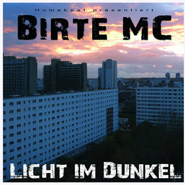 Licht im Dunkel cover