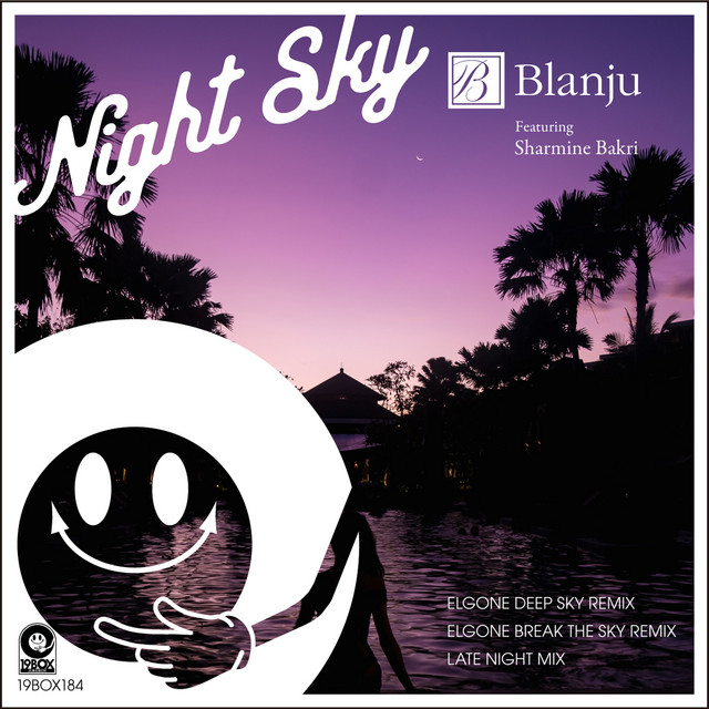Night Sky cover art