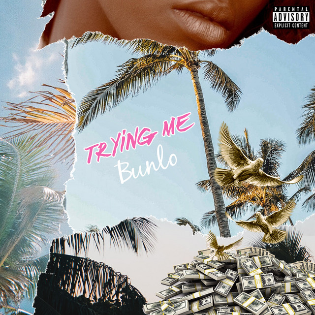 Trying Me cover art