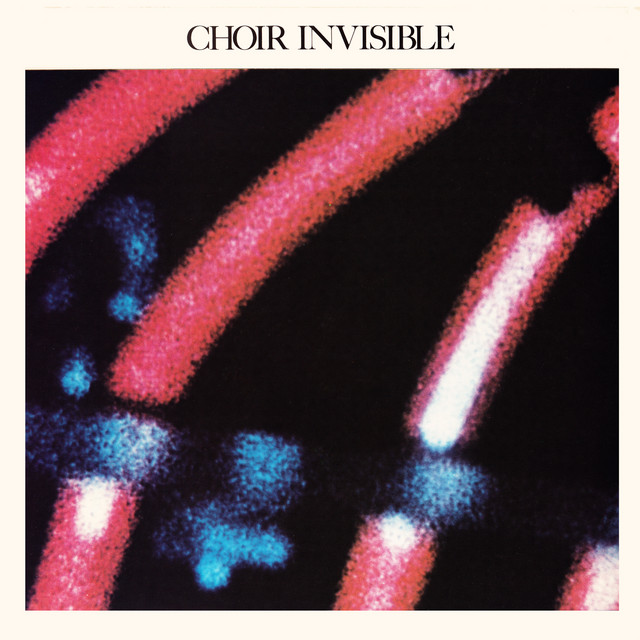 Choir Invisible photo