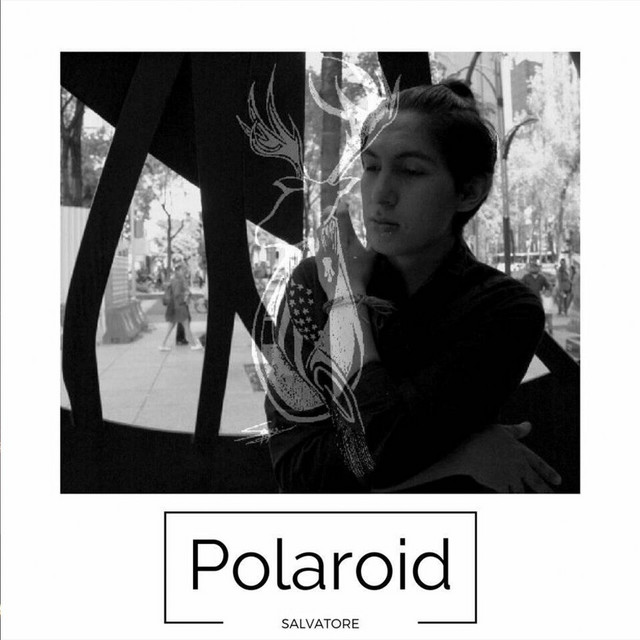 Polaroid