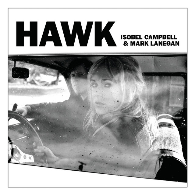 Hawk cover art
