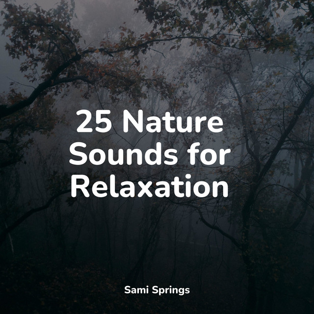 25 Nature Sounds for Relaxation - Album by Rain Sounds For Sleep | Spotify