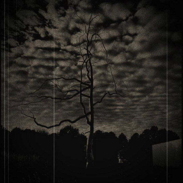 FOG3 cover art