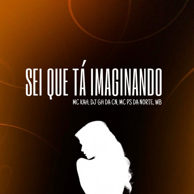 Sei Que Tá Imaginando