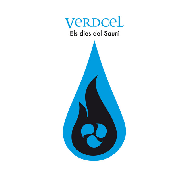 Els dies del Saurí cover