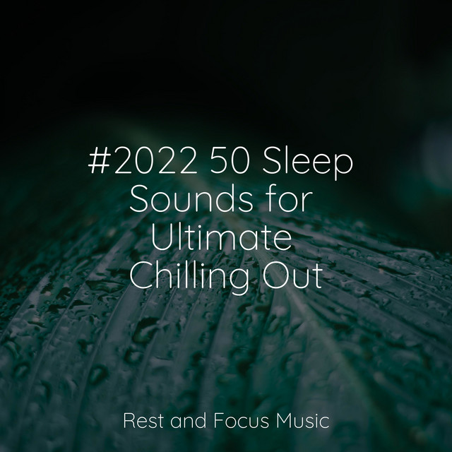 #2022 50 Sleep Sounds for Ultimate Chilling Out - Album by Tranquil ...