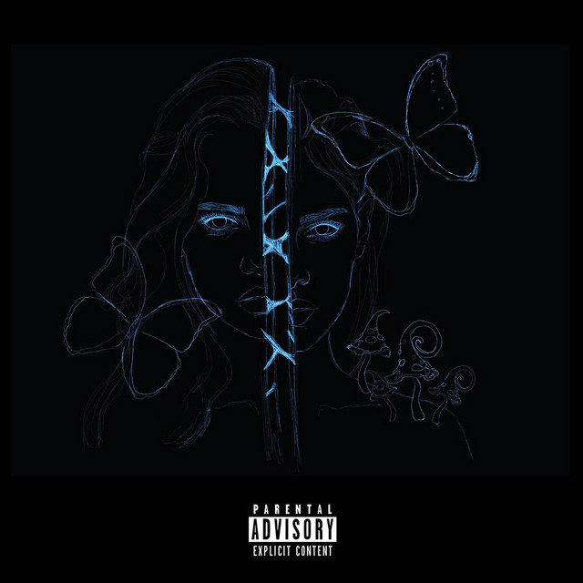 FACESPLIT!!! cover art