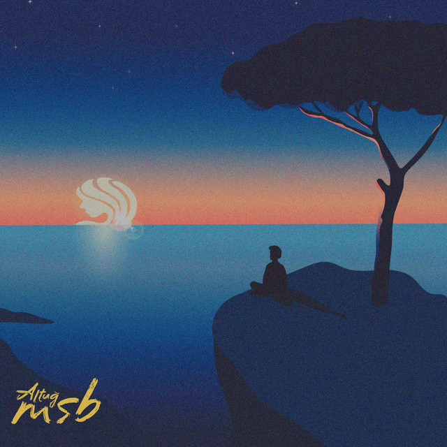 MSB cover art