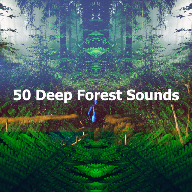 50 Deep Forest Sounds - Album by Kings of Nature | Spotify