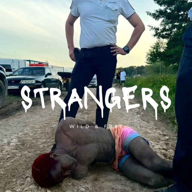 Wild and Free cover art