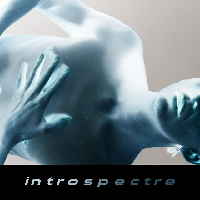 Introspectre cover art