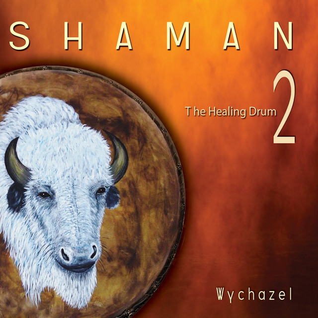 Shaman 2 cover art