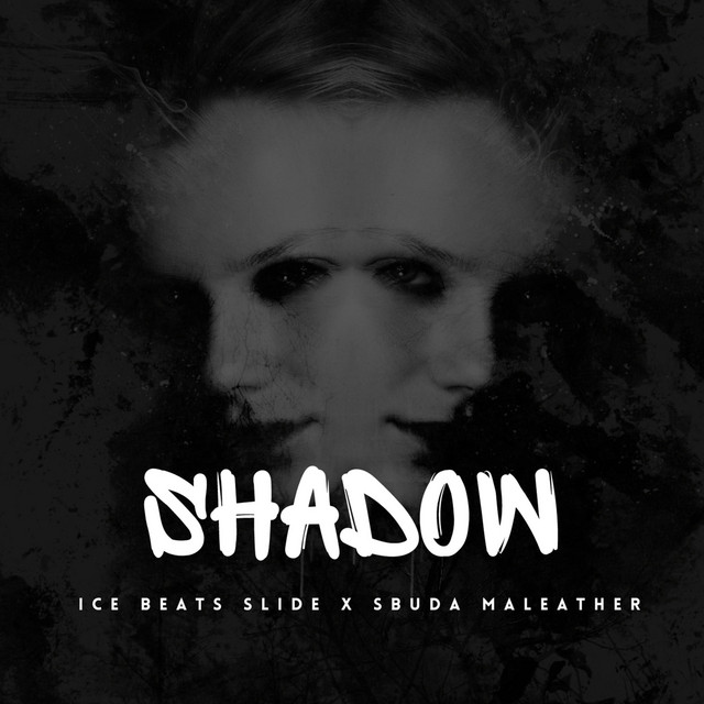 Shadow cover art