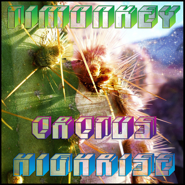 Cactus Highrise cover