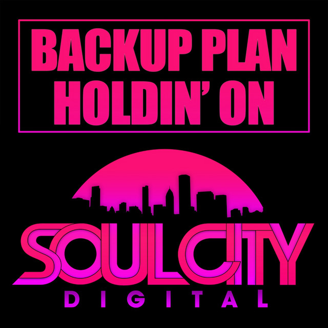 The Backup Plan photo