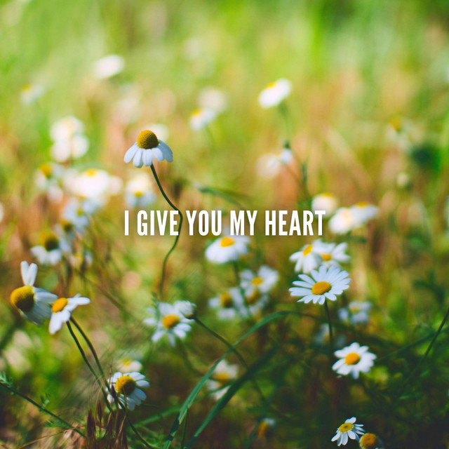 I Give You My Heart (Instrumental)