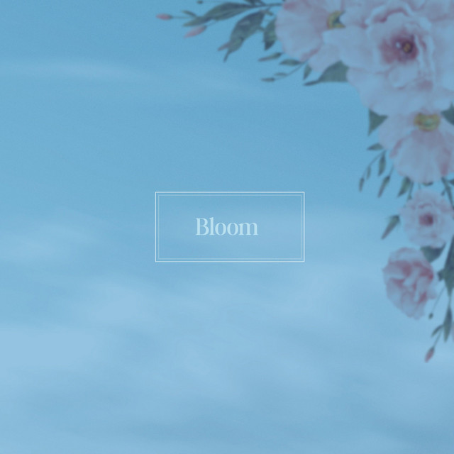 Bloom cover art