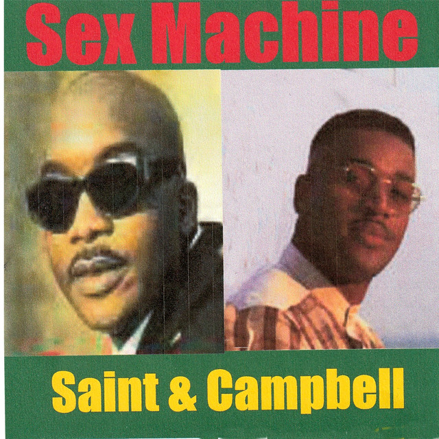 Sex Machine cover