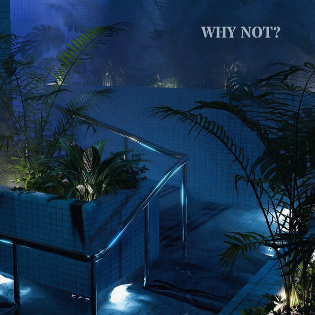 Why Not? cover art