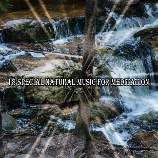 18 Special Natural Music For Meditation - Album by Forest Sounds | Spotify