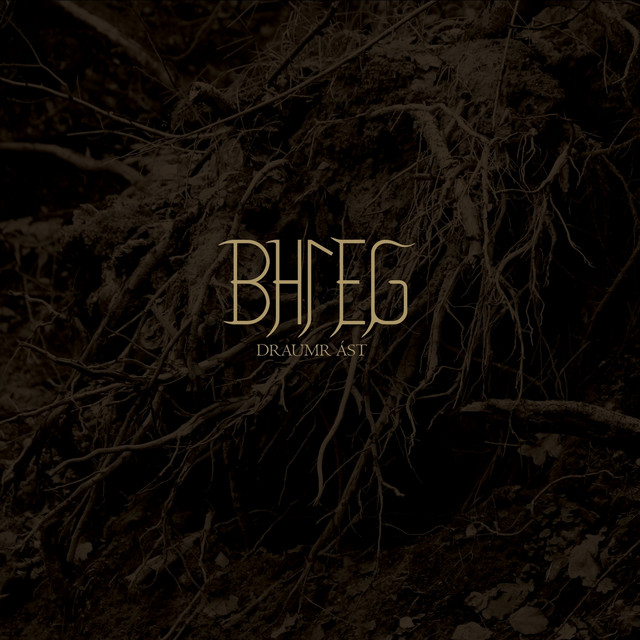 Draumr ást cover art
