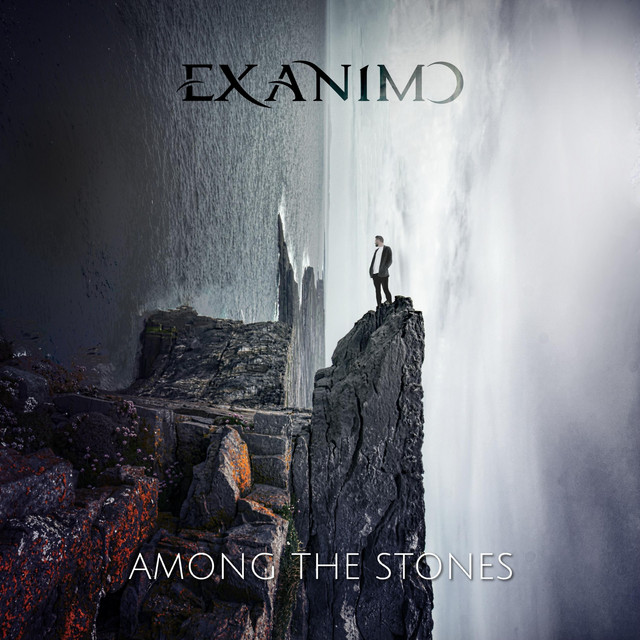 Обкладинка: Among the Stones — Ex Animo