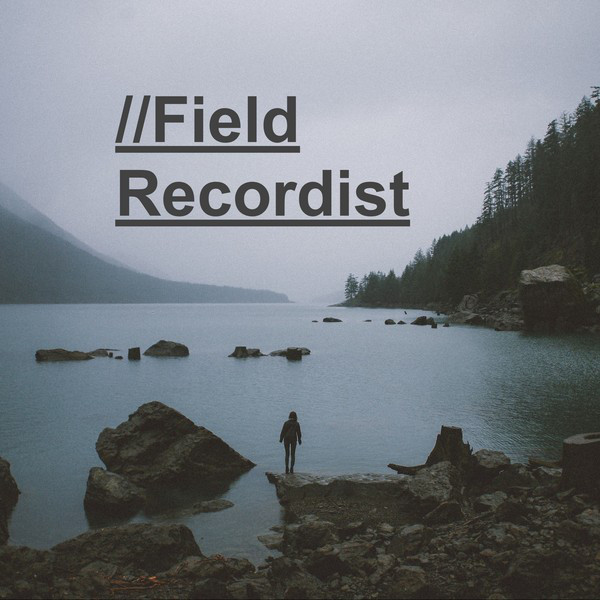 Northwest Forest Sounds - Album by Field Recordist | Spotify