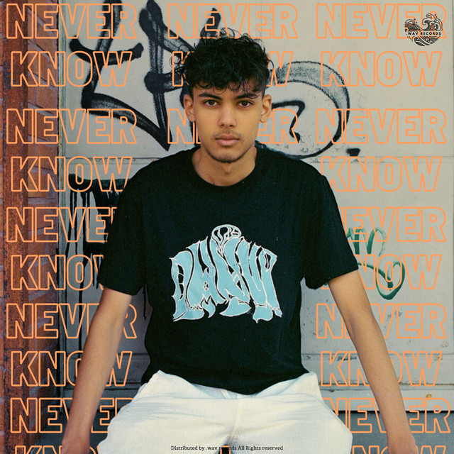 Never Know cover art