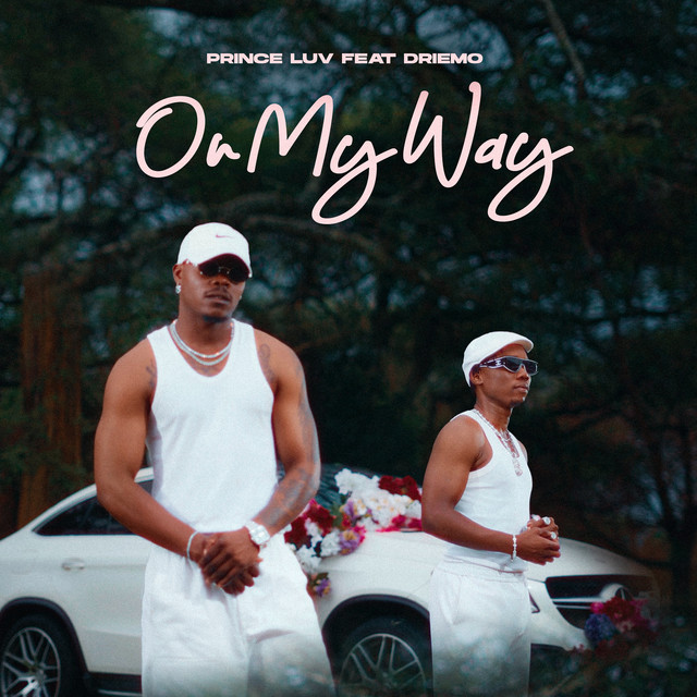 Prince Luv ft Driemo - On my Way 