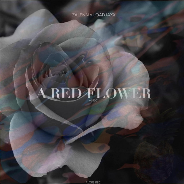 A Red Flower