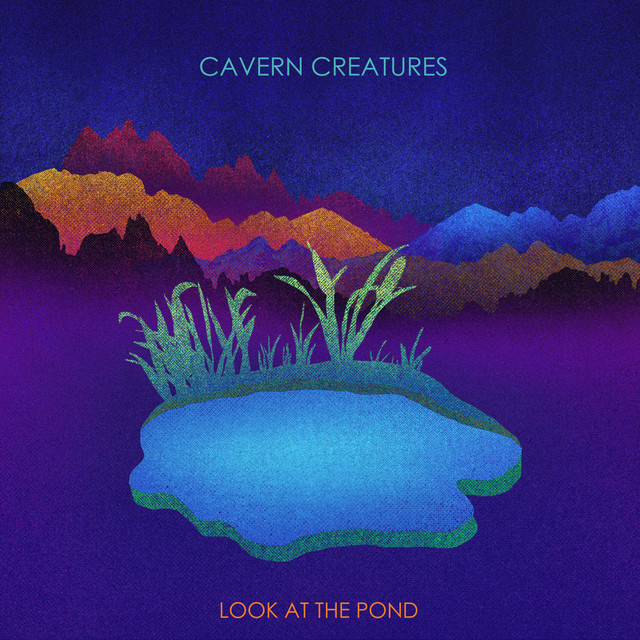 Look At The Pond (single)