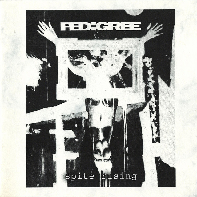Spite Rising cover art