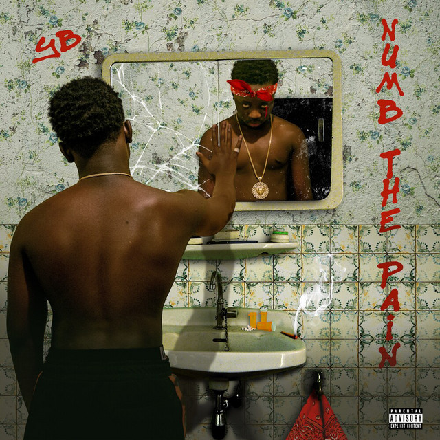 Numb the Pain cover art