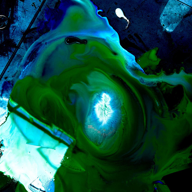 Der Seele letzter Tanz cover art