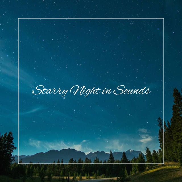 Starry Night in Sounds cover art