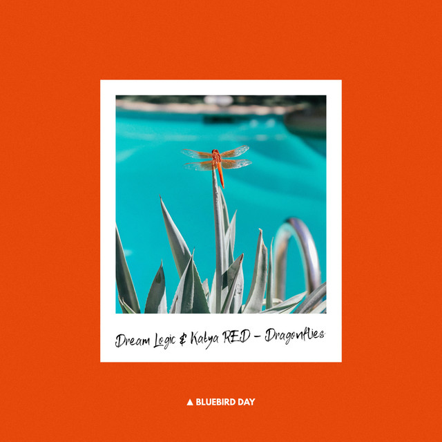 Dragonflies cover