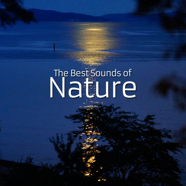 The Best Sounds of Nature - Album by Life Sounds Nature | Spotify