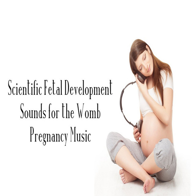 Scientific Fetal Development Sounds for the Womb Pregnancy Music cover art