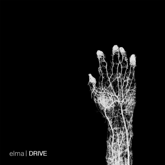 Elma | Spotify