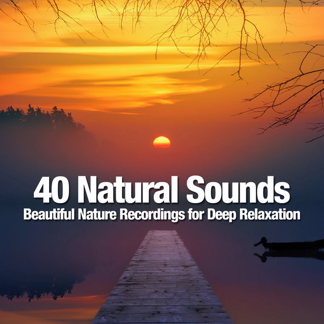 40 Natural Sounds: Beautiful Nature Recordings for Deep Relaxation ...