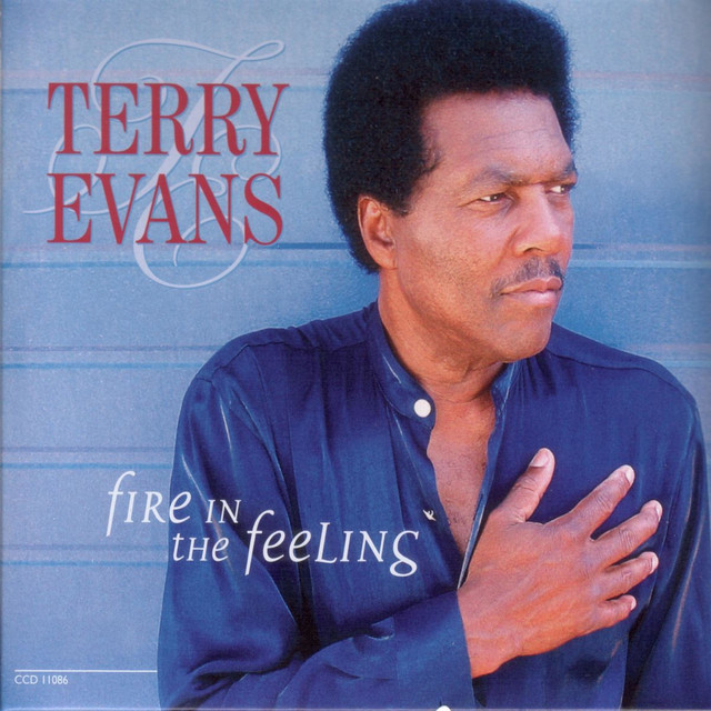 Fire in the Feeling cover art