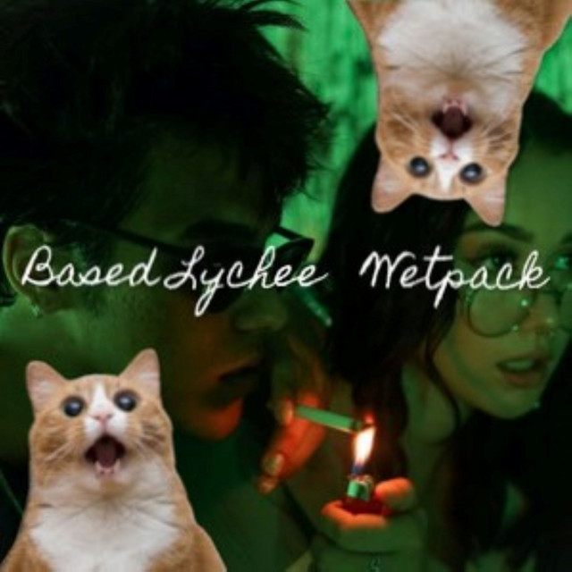 Wetpack - Single by Based Lychee | Spotify