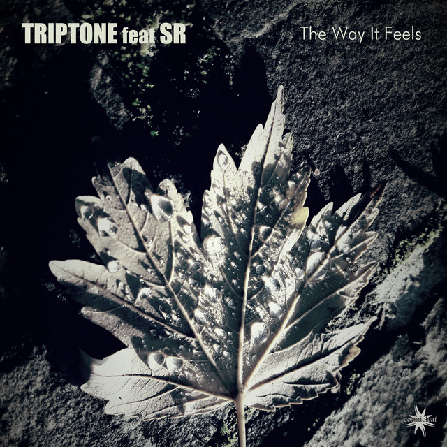 The Way It Feels cover