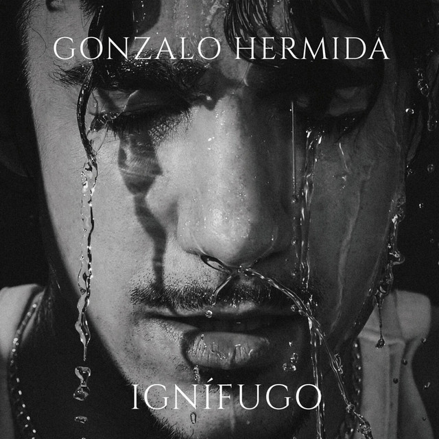 Ignífugo cover art