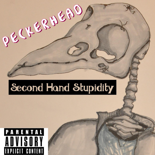 Second Hand Stupidity cover art