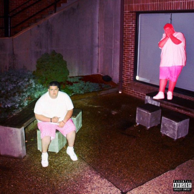 my whip p!nk cover art